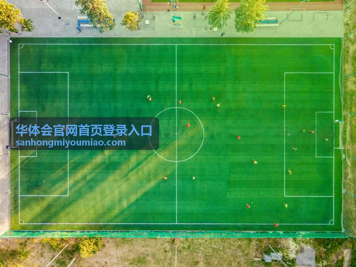华体会官网首页登录入口苗圃科普内容相关推荐图片