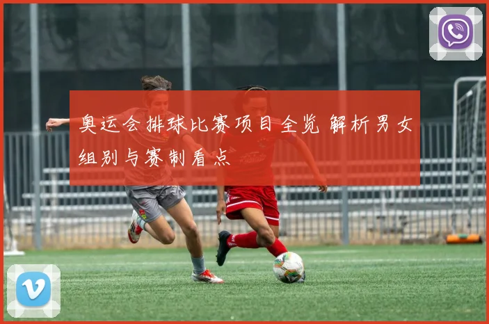 奥运会排球比赛项目全览 解析男女组别与赛制看点