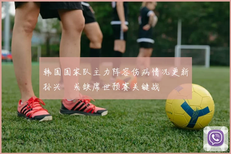 韩国国家队主力阵容伤病情况更新孙兴慜或缺席世预赛关键战