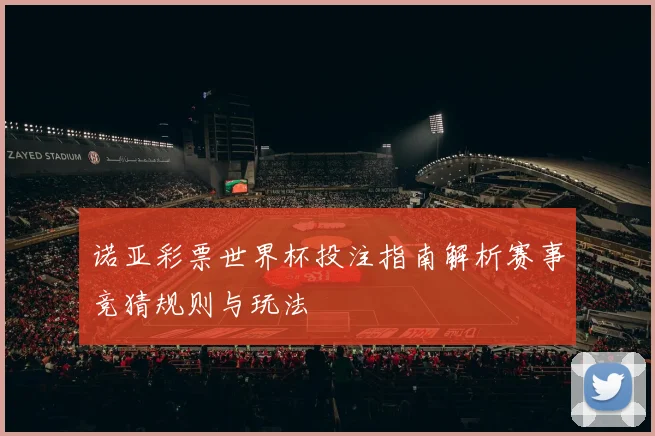 诺亚彩票世界杯投注指南解析赛事竞猜规则与玩法