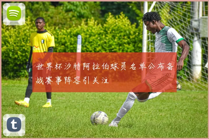 世界杯沙特阿拉伯球员名单公布备战赛事阵容引关注