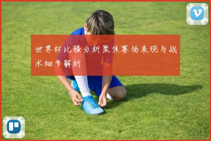 世界杯比骚分析聚焦赛场表现与战术细节解析